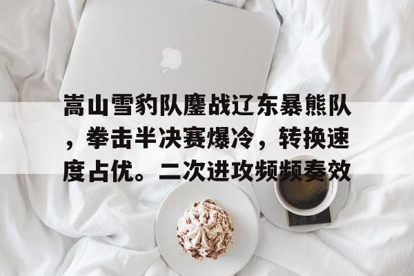 嵩山雪豹队鏖战辽东暴熊队，拳击半决赛爆冷，转换速度占优。二次进攻频频奏效的简单介绍-九游娱乐app